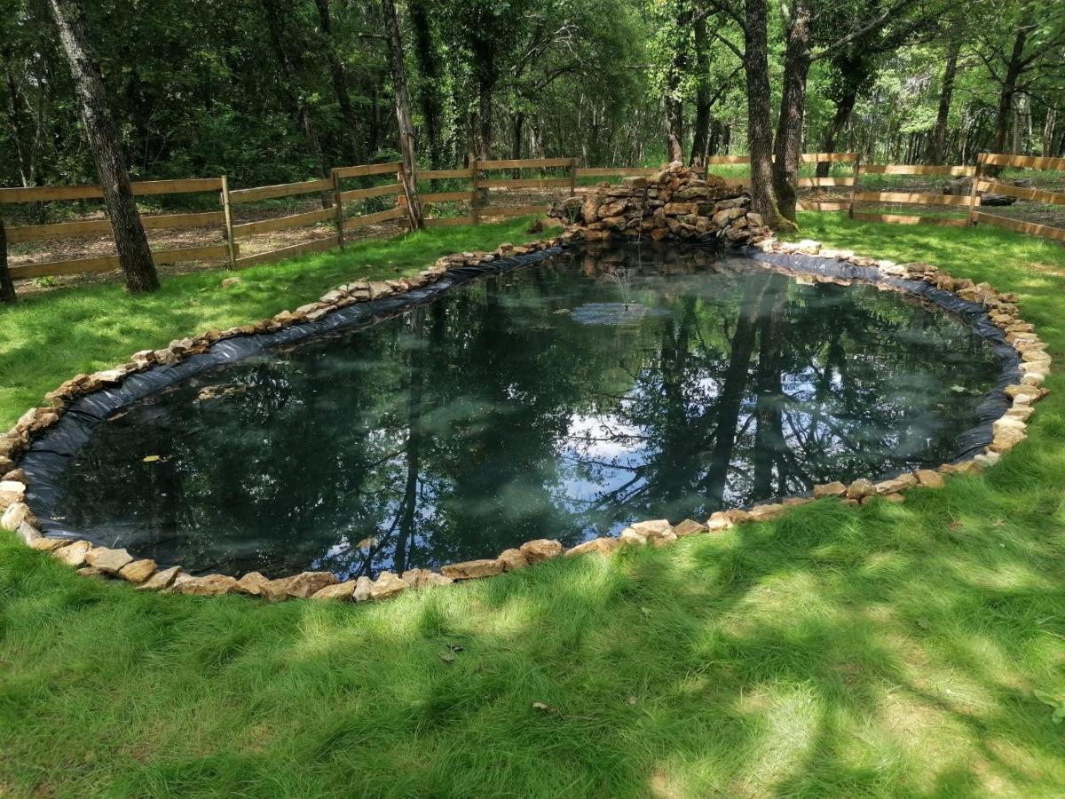 7-Gite-7 Personnes Au Coeur De La Nature /Piscine Saint-Aubin-de-Nabirat Luaran gambar