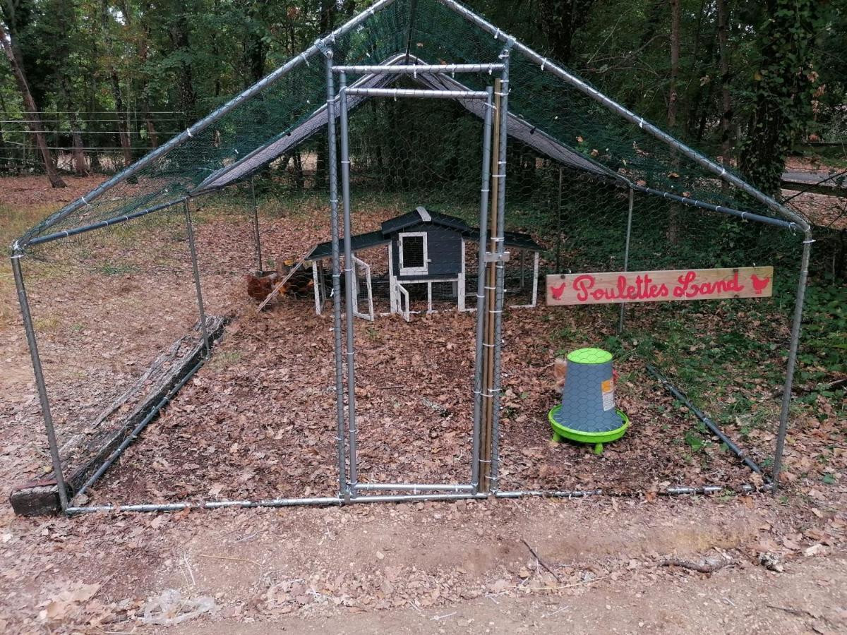 7-Gite-7 Personnes Au Coeur De La Nature /Piscine Saint-Aubin-de-Nabirat Luaran gambar